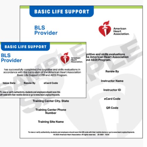 BLS Provider Certification
