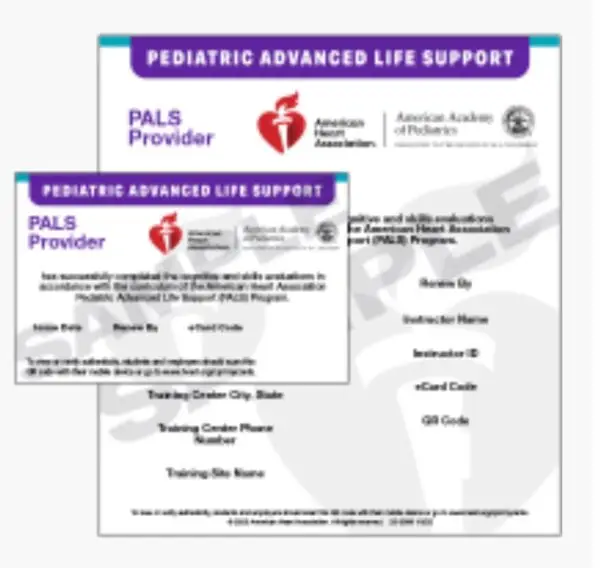 PALS E-Card Certification PALS Provider Certification
